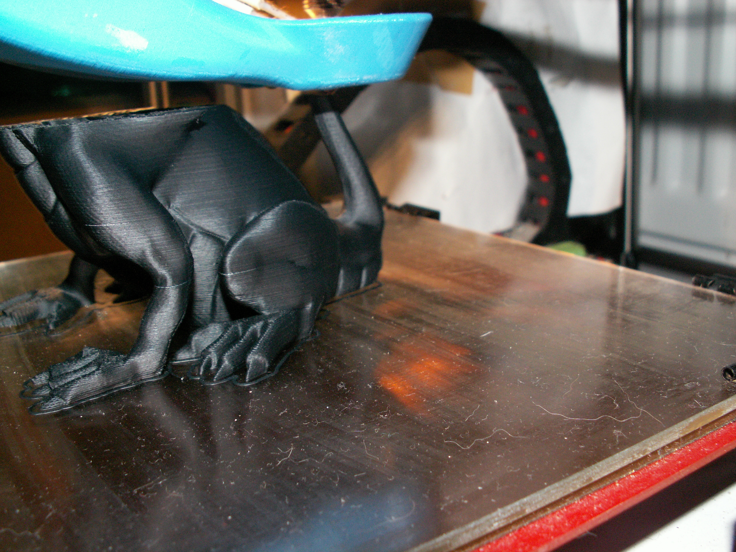 PICT6439.JPG