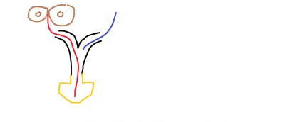 prororickhdyzif.png (26.94 KiB) Zobrazeno 14143 krát prororickhdyzif.png